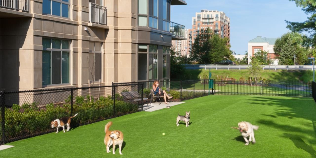 Global Luxury Suites Reston Virginia Herndon Εξωτερικό φωτογραφία
